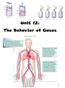 Unit 12: The Behavior of Gases. (Chapter 14)