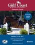 WINTER CLASSICS. Pensacola, Florida WINNERS SHOW HERE! January 11-29, USEF National/Premier Rated USEF Jumper Level 4