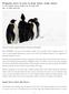 Penguins move in sync to keep warm, study shows By Los Angeles Times, adapted by Newsela staff Jan. 15, :00 AM