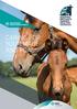 RESPONSIBLE HORSE OWNER BOOKLET CARING FOR YOUR MARE AND FOAL