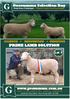 PRIME LAMB SOLUTION. Gooramma Selection Day Stud Ram Catalogue- 1:30pm Friday 22nd September