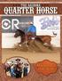 YOUTH ISSUE The Arizona. Quarter Horse ARIZONA QUARTER HORSE ASSOCIATION. Moonstruck One Time