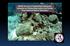 MAHS Survey of Unidentified Shipwreck Remains on Pickles Reef within the Florida Keys National Marine Sanctuary