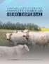 Gerrard CAttle Company. complete Charolais. Herd Dispersal 1:00 PM DECEMBER 14 AT THE FARM IN RED DEER COUNTY, AB. complete herd dispersal