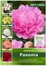 2017 / Assortment Paeonia. Your preferred Peony supplier New and large assortment for pot and cut flower. Dinner Plate