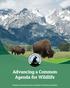 Advancing a Common Agenda for Wildlife