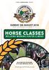 HORSE CLASSES INCLUDING WORKING HUNTER CLASSES