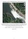 Draft Rapid Assessment of Adult Pacific Lamprey Passage at Tumwater Dam