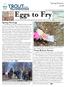 Eggs to Fry A newsletter for TIC in the Catskills, Hudson Valley, Long Island, and New York City