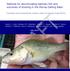 Methods for discriminating hatchery fish and outcomes of stocking in the Murray-Darling Basin