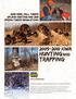 Hunting and trapping Iowa Deer fall turkey upland hunting and 2010 spring turkey regulations.