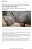 Rhinos will soon be extinct if poachers don't stop killing them
