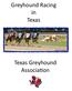 Greyhound Racing in Texas. Texas Greyhound Associa on