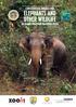 Thai Elephant status