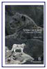 Strategic Plan Snow Leopard Conservation in Pakistan. Initiated, facilitated and written by. Ashiq Ahmad Khan Chief Technical Advisor, WWF Pakistan