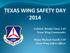 TEXAS WING SAFETY DAY 2014