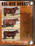 RSL RED ANGUS. Saskatoon Livestock Sales. Female Sale. 1PM - Saturday - December 1, lot 2. lot 4. lot 38