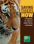 SAVING TIGERS NOW. A Prognosis for Tigers in Eight Priority Landscapes