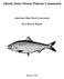 Atlantic States Marine Fisheries Commission