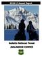 Annual Report. Gallatin National Forest AVALANCHE CENTER