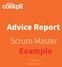 Advice Report Scrum Master Example. <Name> <Organisation>