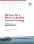 Options for a Made-In-BC Wild Salmon Strategy