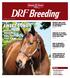 sweet song serena s song builds her own family, page 9 Breeding Update Get breeding and sales news in your inbox sign up at drf.