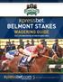 Belmont stakes Wagering Guide