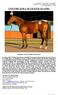 FIGHTING SUN x MELODIOUS GELDING