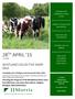 28 TH APRIL 15 WHITLAND COLLECTIVE DAIRY SALE