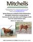 FRIDAY 25 TH MARCH Sale to commence at 12.30pm (following the store cattle)
