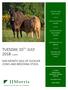 TUESDAY, 10 TH JULY PM MID MONTH SALE OF SUCKLER COWS AND BREEDING STOCK SUCKLER COWS AND CALVES INCALF COWS AND HEIFERS