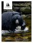 Spring in British Columbia s Great Bear Rainforest Edition. Explore the islands and beaches of the Great Bear Sea. Interact.
