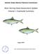 River Herring Stock Assessment Update Volume I: Coastwide Summary