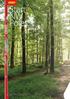 Start NW Poles. Nordic Walking Poles