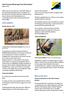 Abel Tasman Birdsong Trust Newsletter. Avian updates! Biosecurity News. Pateke/Brown Teal. Tieke/Saddleback. Toutouwai/Robin