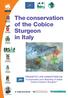 The conservation of the Cobice Sturgeon in Italy