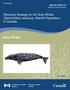 Recovery Strategy for the Grey Whale (Eschrichtius robustus), Atlantic Population, in Canada