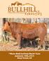 More Bull for Your Buck Sale January 19th, 2019 Gray Court, SC