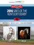 2016 SIRES OF THE KENTUCKY DERBY