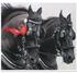 Breed Characteristics Long Black Flowing mane & tail Elegant arching neck High stepping trot.