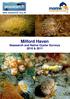 Milford Haven. Seasearch and Native Oyster Surveys 2010 & 2011