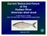 Current Status and Future. Hudson River American shad stock. New York State Dept. of Environmental Conservation