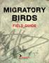 Migratory Bird Hunts