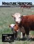 Miniature Hereford WINTER 2018 Issue 31