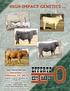 Welcome to our 34th Annual Bull Sale.