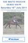 THE BRENT PELHAM HORSE SHOW Saturday 16 th July 2011