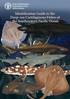 Identification Guide to the Deep sea Cartilaginous Fishes of the Southeastern Pacific Ocean