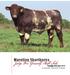 Marellan Shorthorns. Judge For Yourself Bull Sale. Tuesday 27th Sept 2016 On-property, East End Emerald