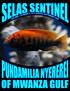 From the Editor 1 Pundamilia nyererei of Mwanza Gulf 2 Spawning Report: Synodontis multipunctatus
